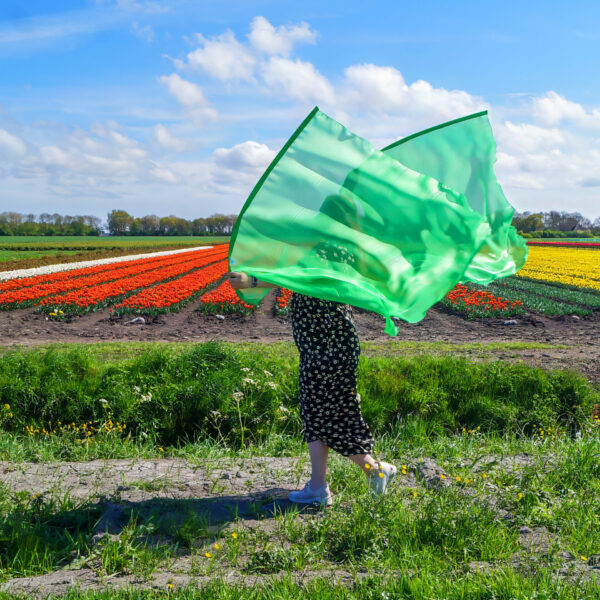 Bestel jouw set aanbiddingsvlaggen groen
