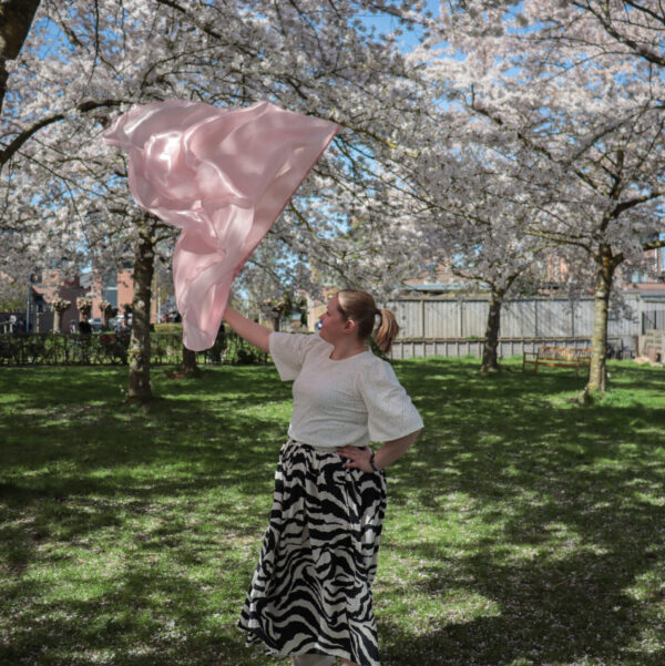 Bestel jouw set aanbiddingsvlaggen roze new