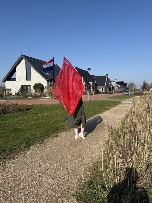 Bestel jouw set aanbiddingsvlaggen roze new