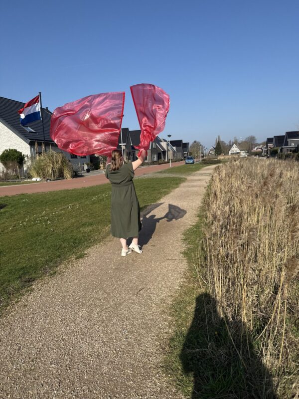 Bestel jouw set aanbiddingsvlaggen roze new