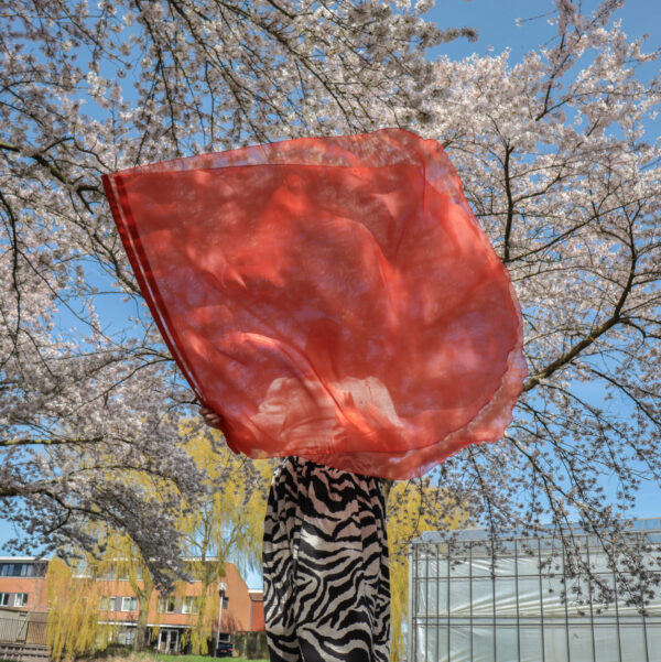 Bestel jouw set aanbiddingsvlaggen koper