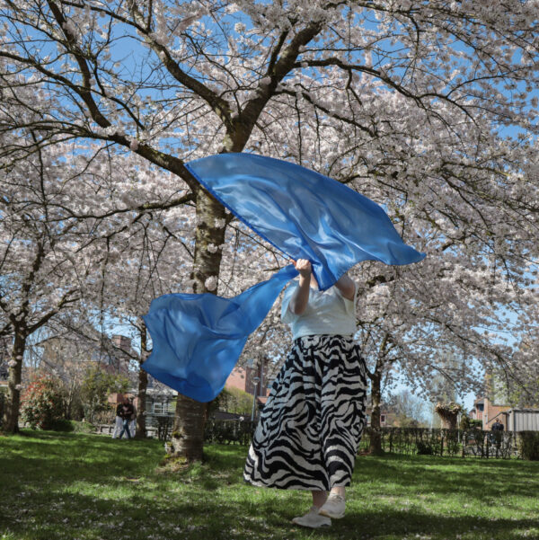 Bestel jouw set aanbiddingsvlaggen blauw