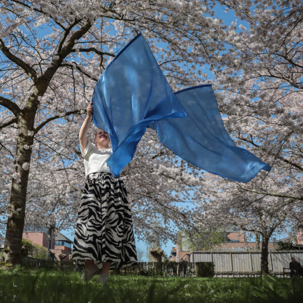 Bestel jouw set aanbiddingsvlaggen blauw