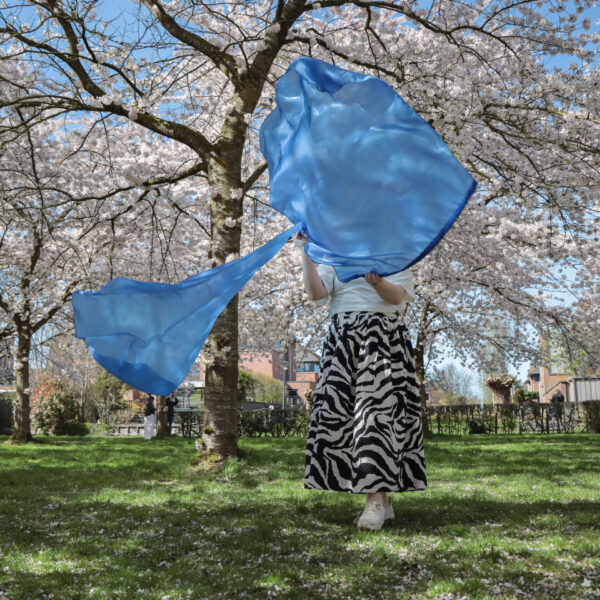 Bestel jouw set aanbiddingsvlaggen blauw