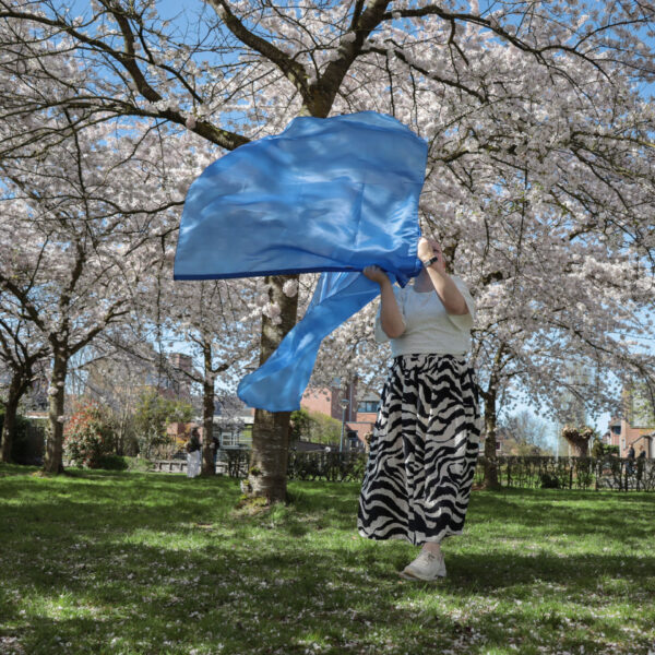 Bestel jouw set aanbiddingsvlaggen blauw